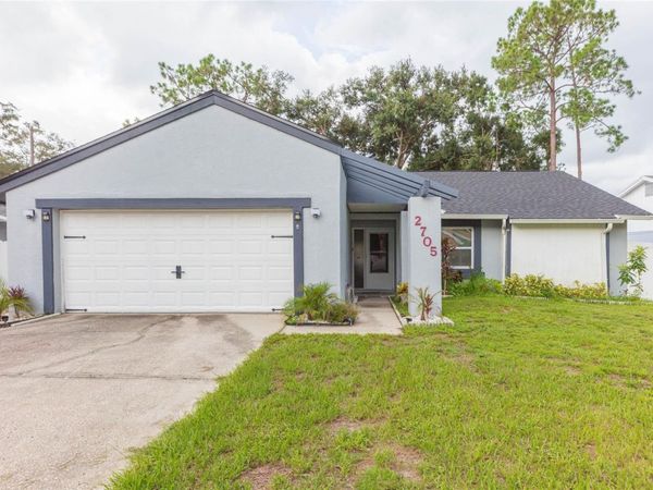 2705 LAKEVILLE DRIVE, TAMPA, FL 33618
