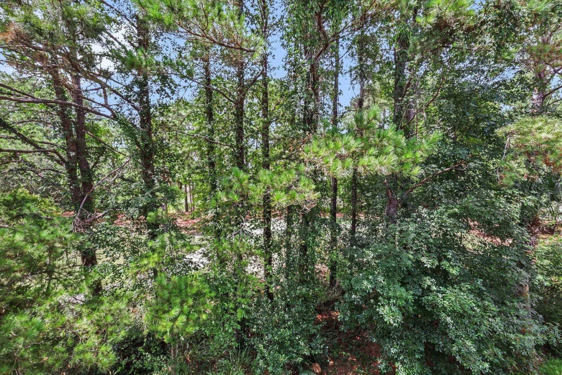 5750 Oyster Catcher Dr. Photo 26
