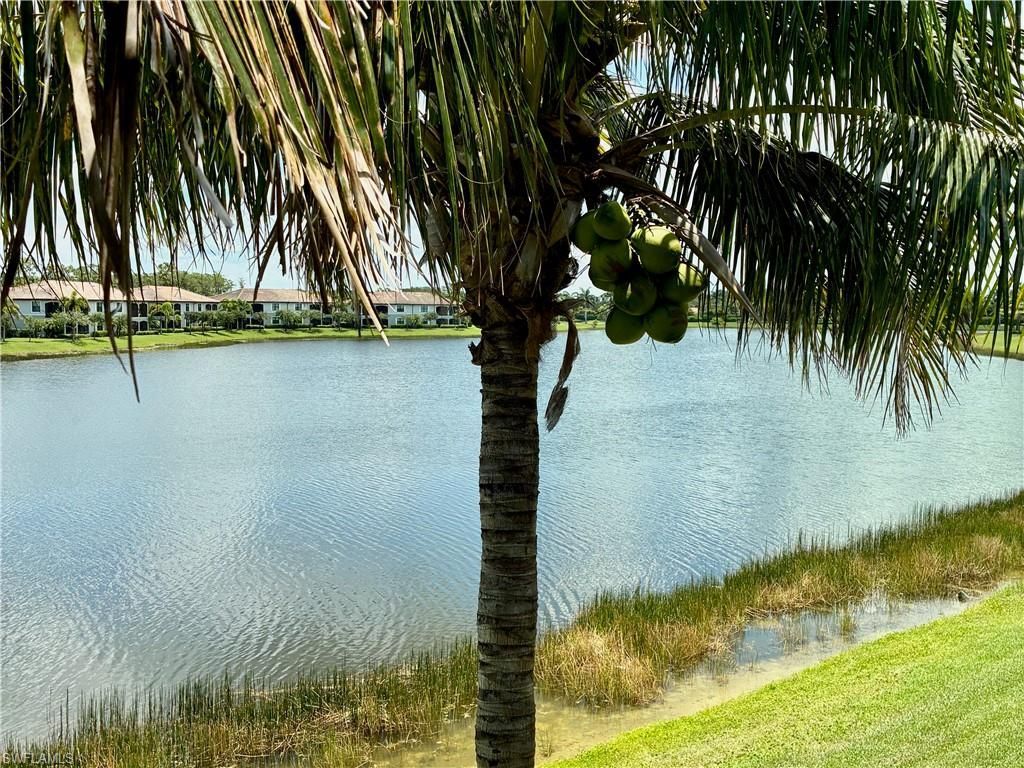 9529 Avellino Way, Unit 2825, Naples, FL 34113 Photo