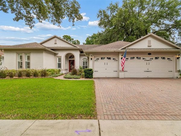 3825 MISTY LANDING DRIVE , VALRICO, FL 33594