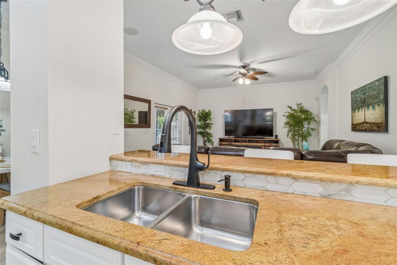 3825 Misty Landing Drive, Valrico, FL 33594 Photo
