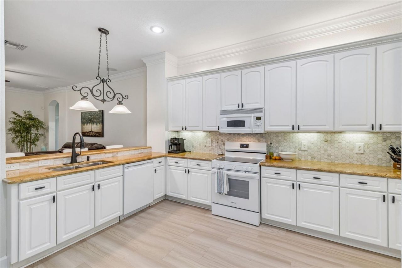 3825 Misty Landing Drive, Valrico, FL 33594 Photo