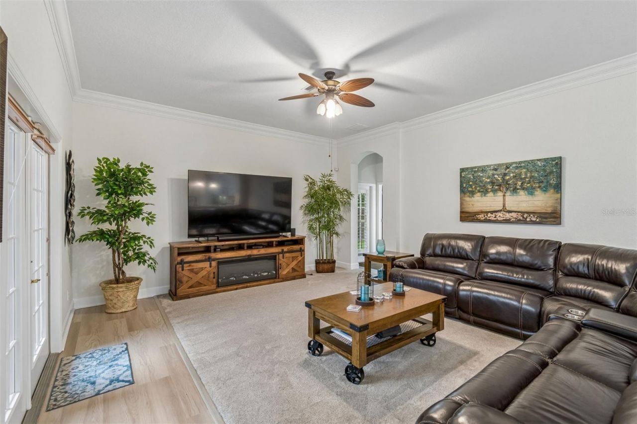 3825 Misty Landing Drive, Valrico, FL 33594 Photo