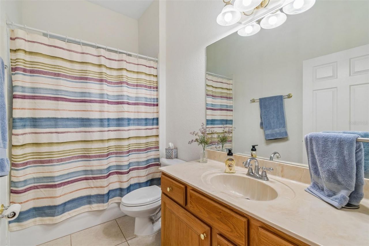 3825 Misty Landing Drive, Valrico, FL 33594 Photo