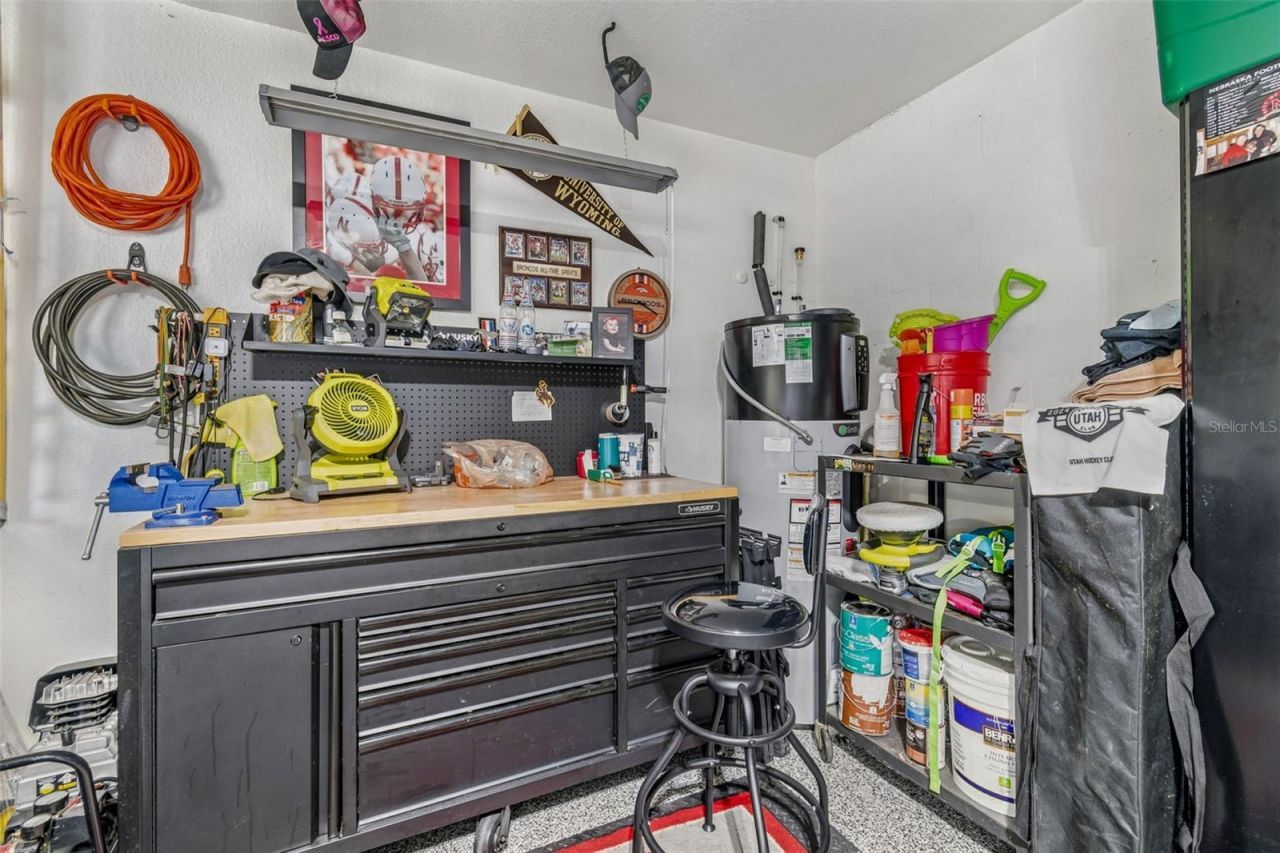 3825 Misty Landing Drive, Valrico, FL 33594 Photo