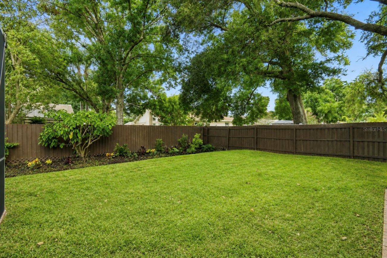 3825 Misty Landing Drive, Valrico, FL 33594 Photo