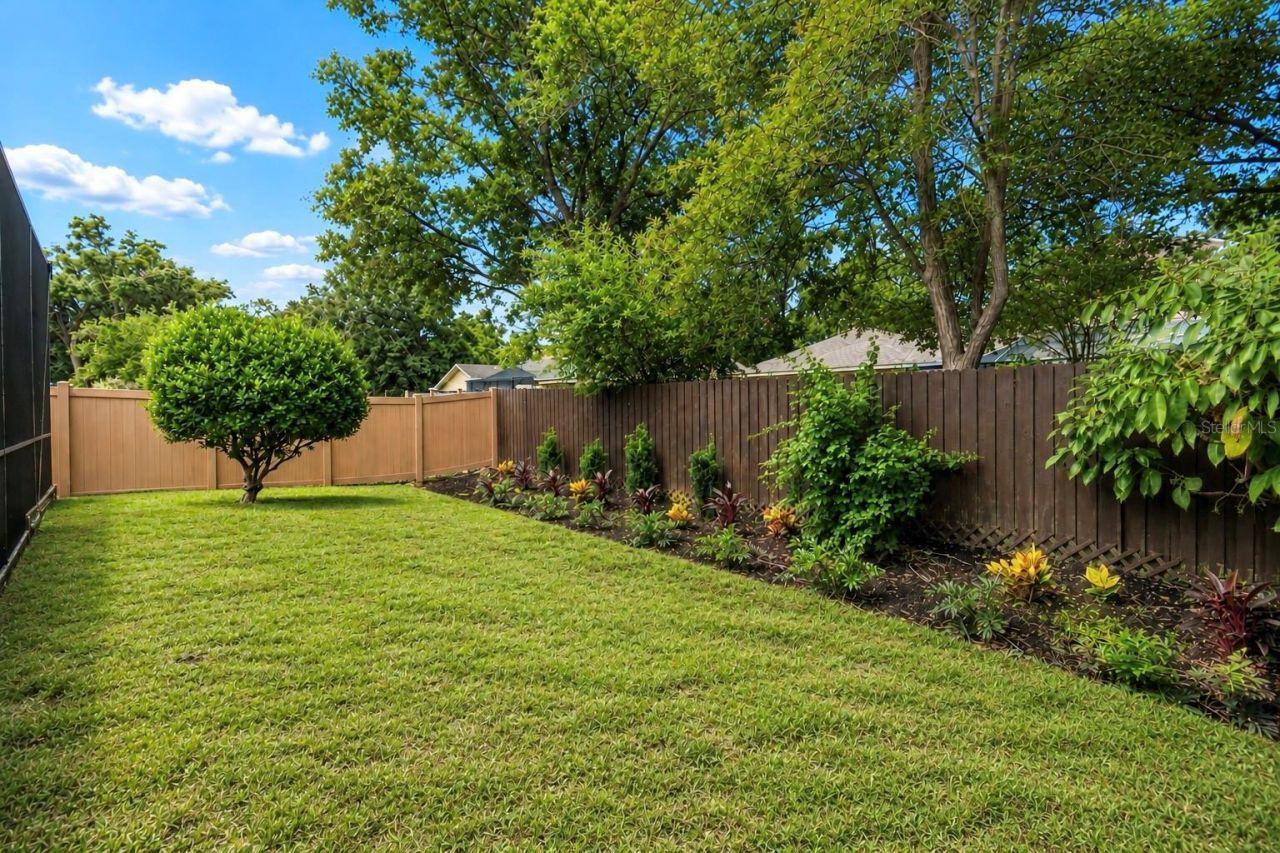 3825 Misty Landing Drive, Valrico, FL 33594 Photo