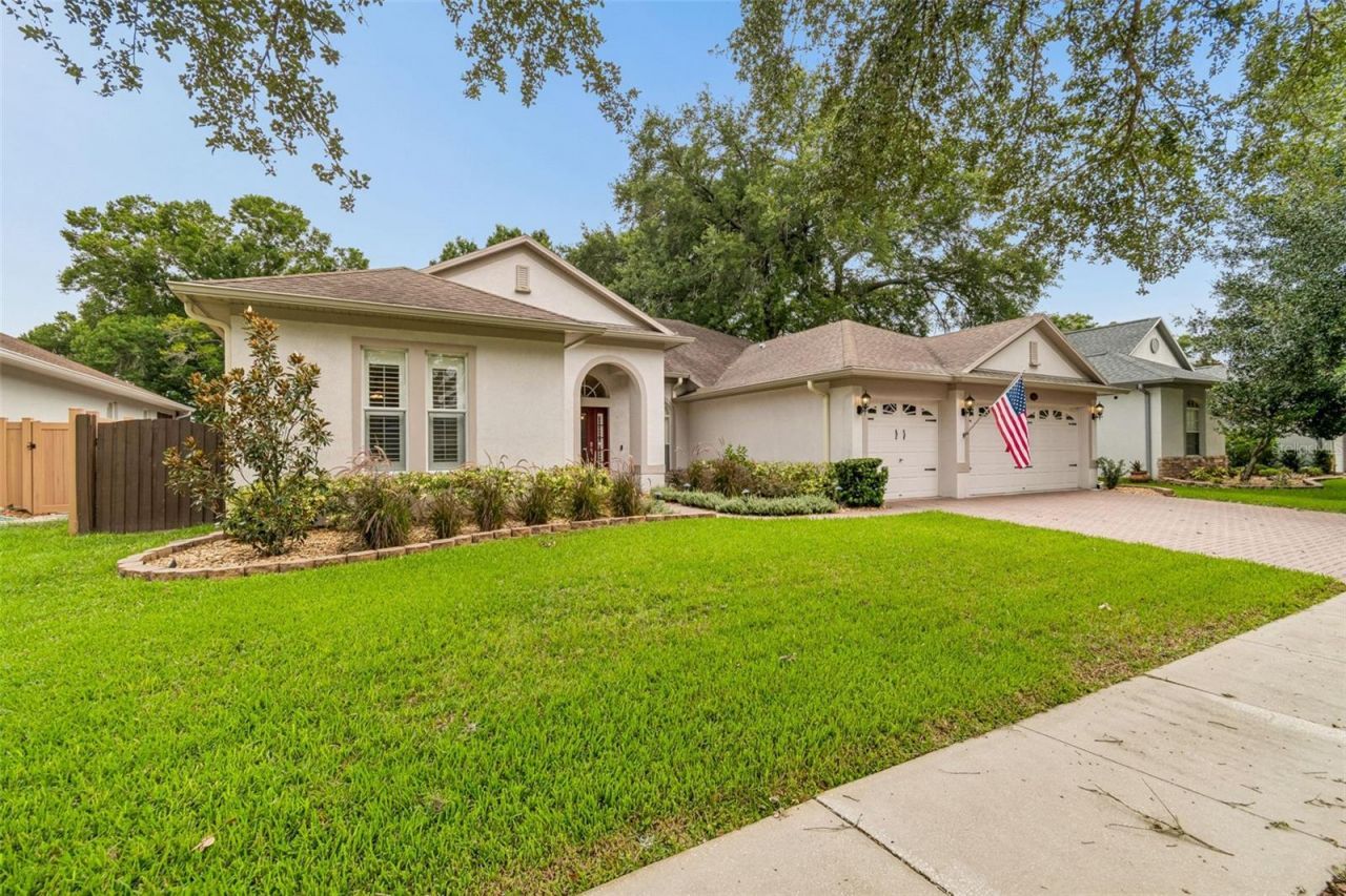 3825 Misty Landing Drive, Valrico, FL 33594 Photo