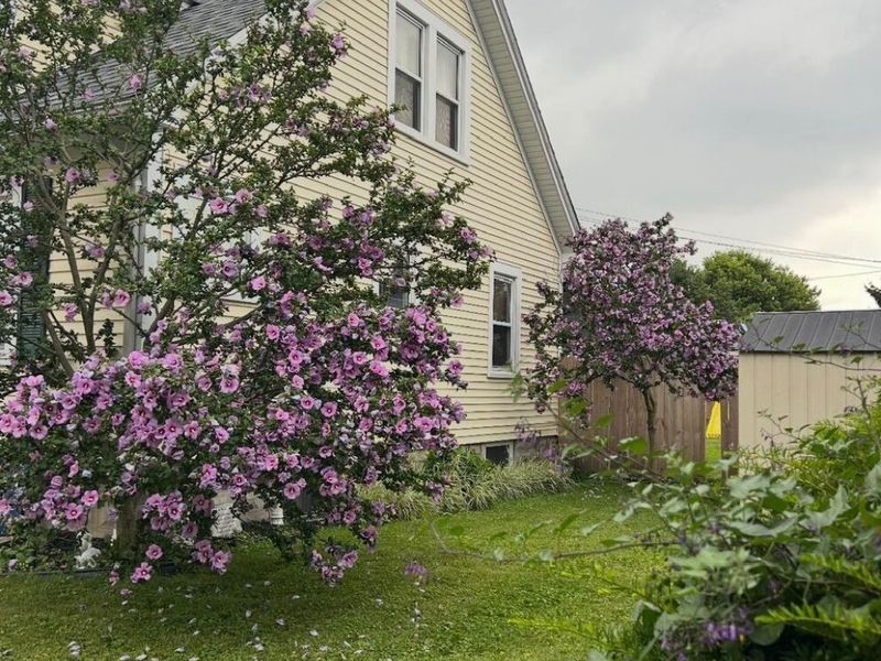 714 N College Street, Piqua, OH 45356 Photo 3