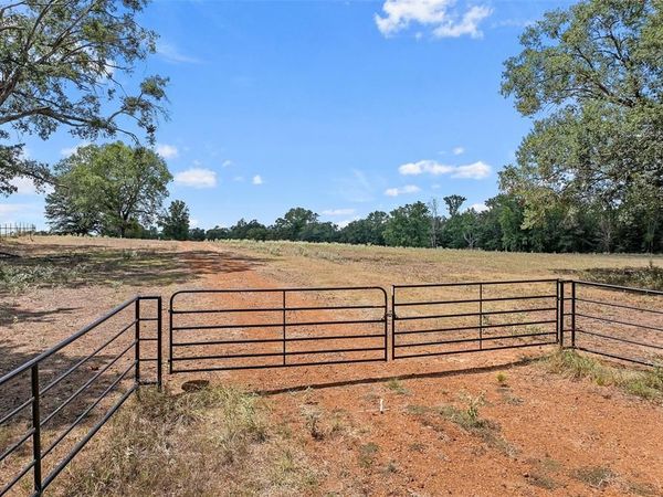 459 County Road 3303 , Omaha, TX 75571