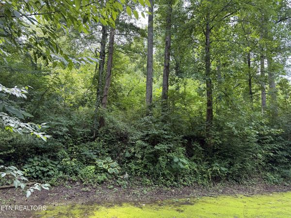315 Hilltop Rd, Gatlinburg, TN 37738