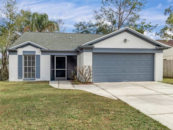 1628 BAKER ROAD , LUTZ, FL 33559