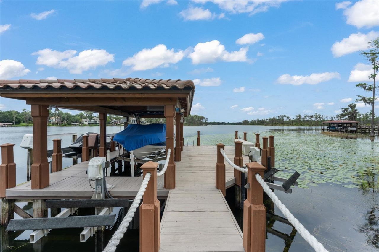 6055 Louise Cove Drive, Windermere, FL 34786 Photo