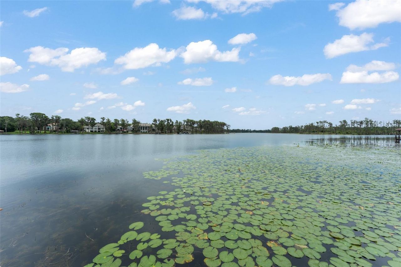 6055 Louise Cove Drive, Windermere, FL 34786 Photo