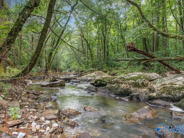 112 Acres County Road 431, Bryant, AL 35958