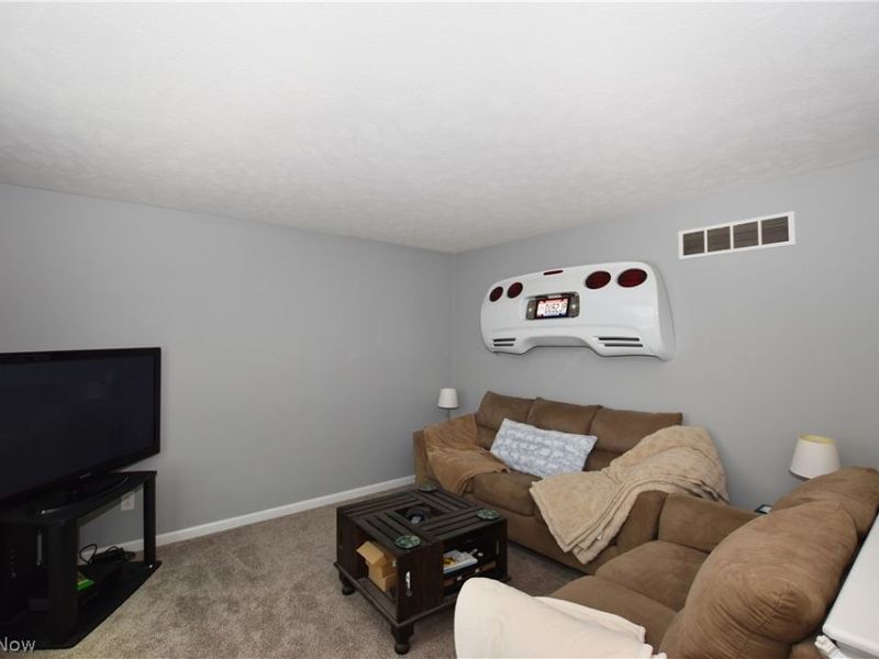 1251 Winter Fern Avenue, Akron, OH 44312 Photo 20