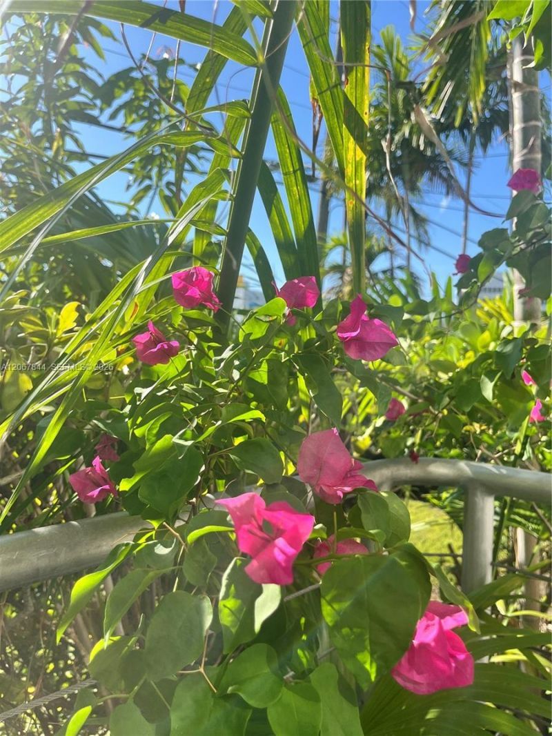 3917 N Meridian Ave, Unit 102, Miami Beach, FL 33140 Photo