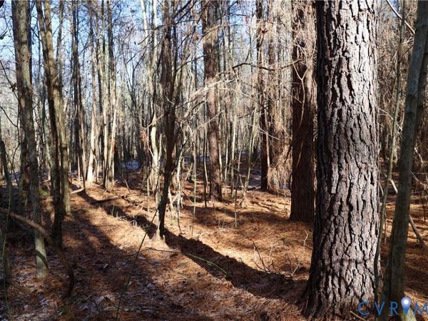 0 Beaver Acres Lane , Buffalo Junction, VA 24529