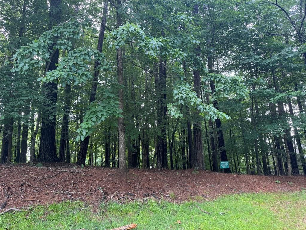 460 Covington Cove, Johns Creek, GA 30022 Main Photo
