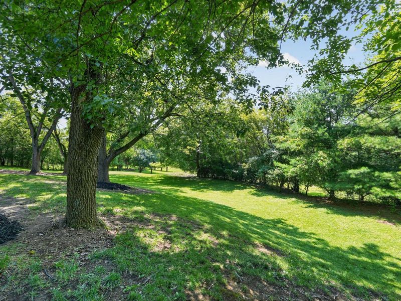 620 Pollock Road, Delaware, OH 43015 Photo 58