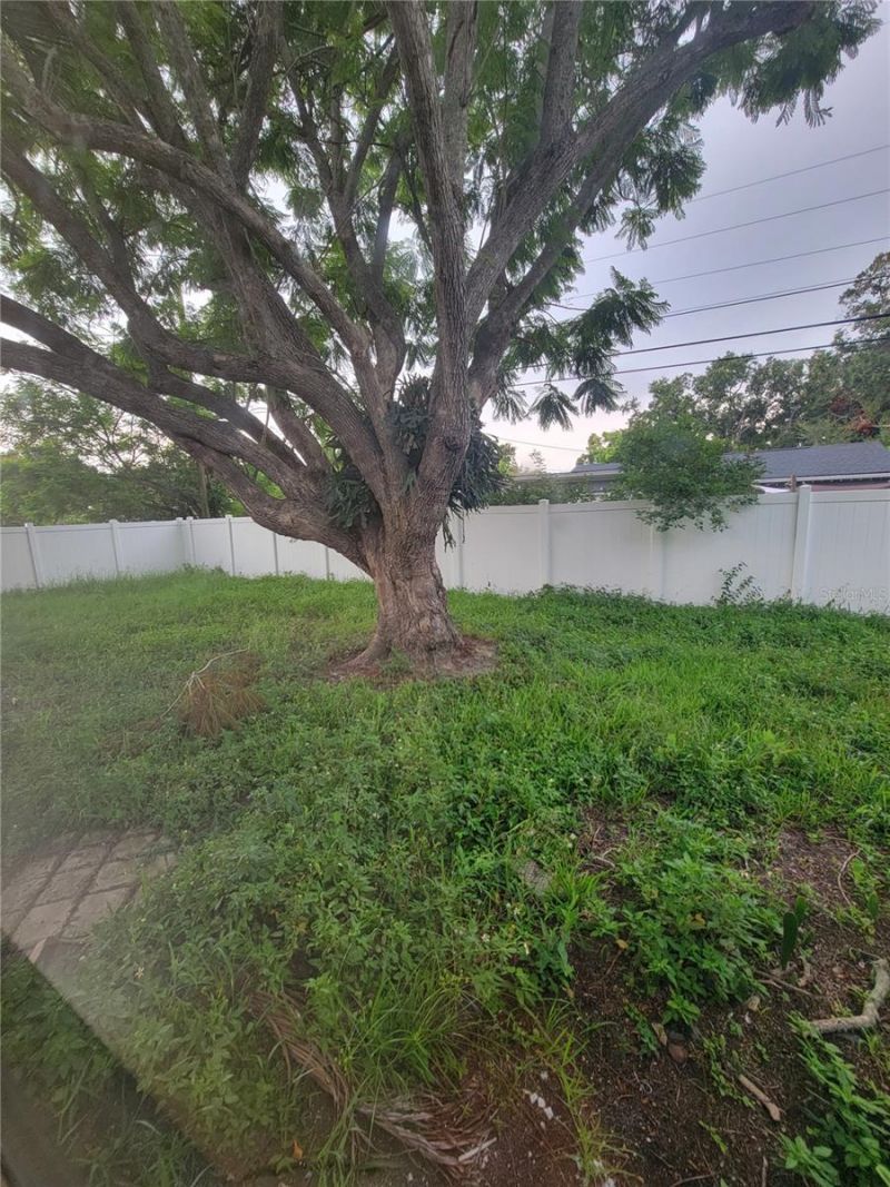 7498 N Orpine Drive, Saint Petersburg, FL 33702 Photo