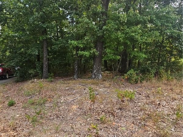 Selkirk Dr/Lanark Lane Lane , Bella Vista, AR 72715