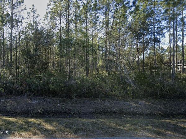 10255 ERICKSON Avenue, Hastings, FL 32145