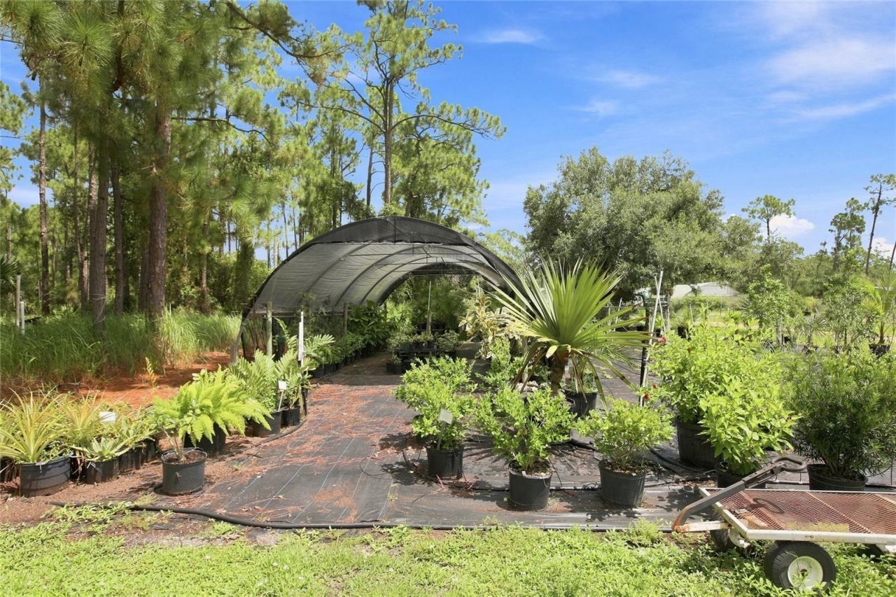 8146 Tropicaire Boulevard, North Port, FL 34291 Photo