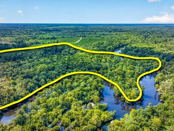 ±19 Acres Potter Spring Road, Vernon, FL 32462