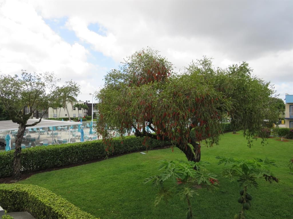 557 Burgundy L, Unit 557, Delray Beach, FL 33484 Photo