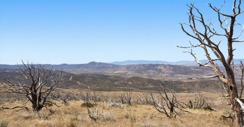 1800 Wrangler Road, Reno, NV 89510 Photo