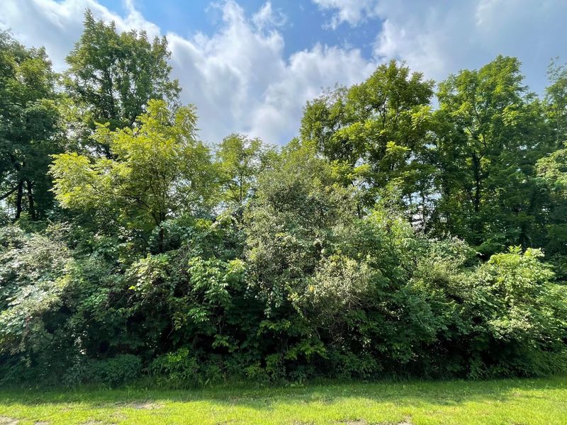 11379 Cedar Creek Drive NW, Canal Winchester, OH 43110 Photo 3