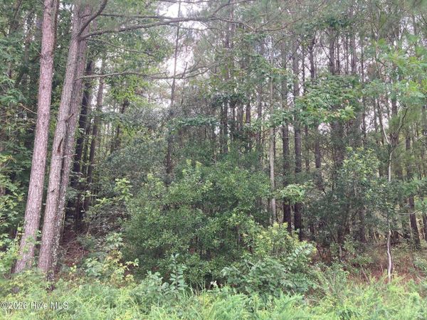 Lot # 33 33 Pine Crest Road , Bath, NC 27808