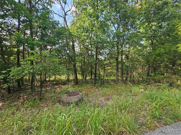10515 Eagles Nest Drive , Hillsboro, MO 63050