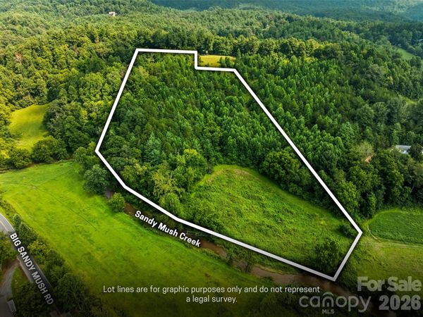 99999 Big Sandy Mush Road , Leicester, NC 28748
