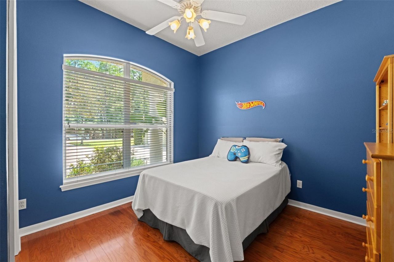 5035 Conner Drive, Land O Lakes, FL 34639 Photo