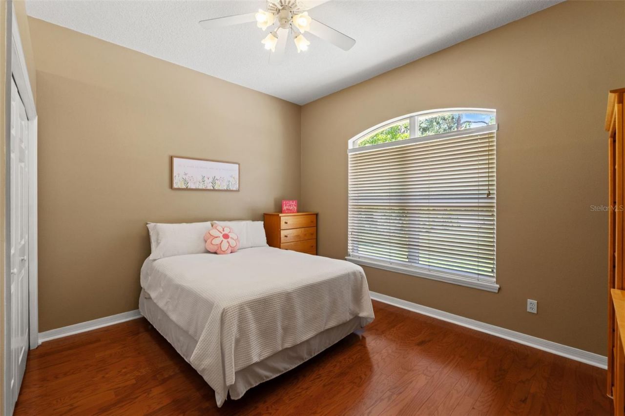 5035 Conner Drive, Land O Lakes, FL 34639 Photo