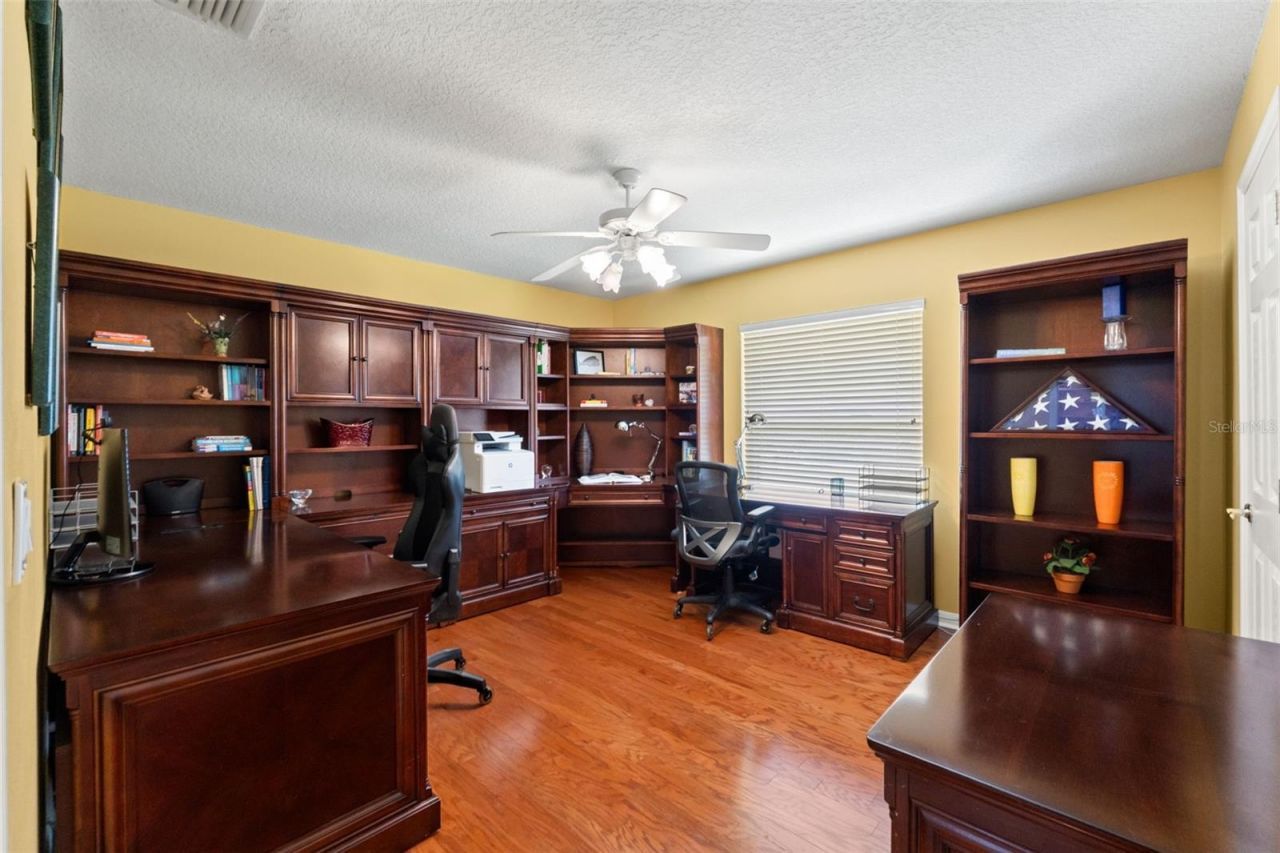 5035 Conner Drive, Land O Lakes, FL 34639 Photo