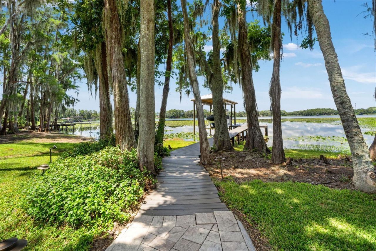 5035 Conner Drive, Land O Lakes, FL 34639 Photo