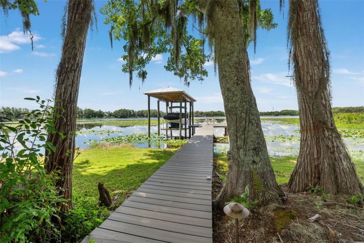 5035 Conner Drive, Land O Lakes, FL 34639 Photo