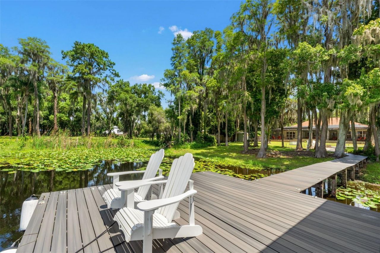 5035 Conner Drive, Land O Lakes, FL 34639 Photo