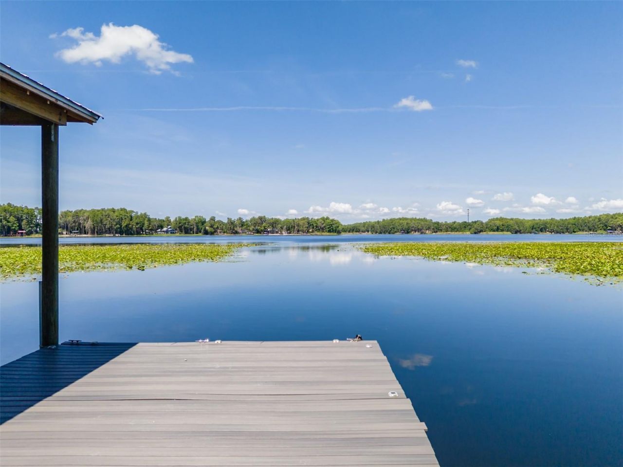5035 Conner Drive, Land O Lakes, FL 34639 Photo