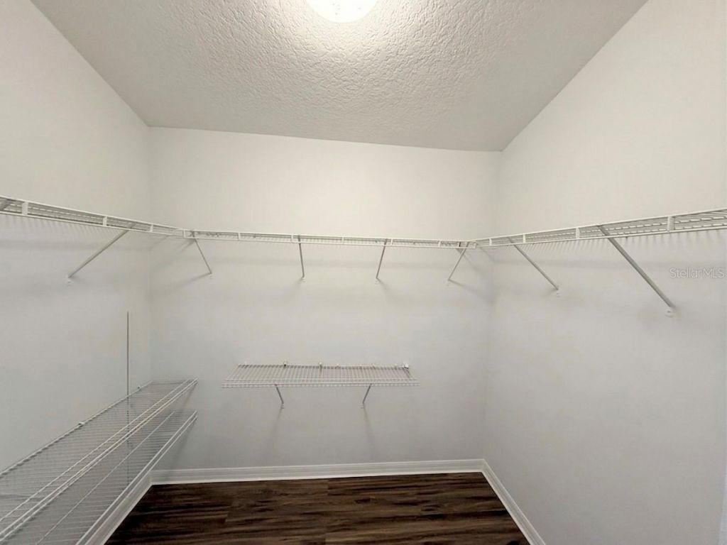 3133 Riachuelo Lane, Kissimmee, FL 34744 Photo