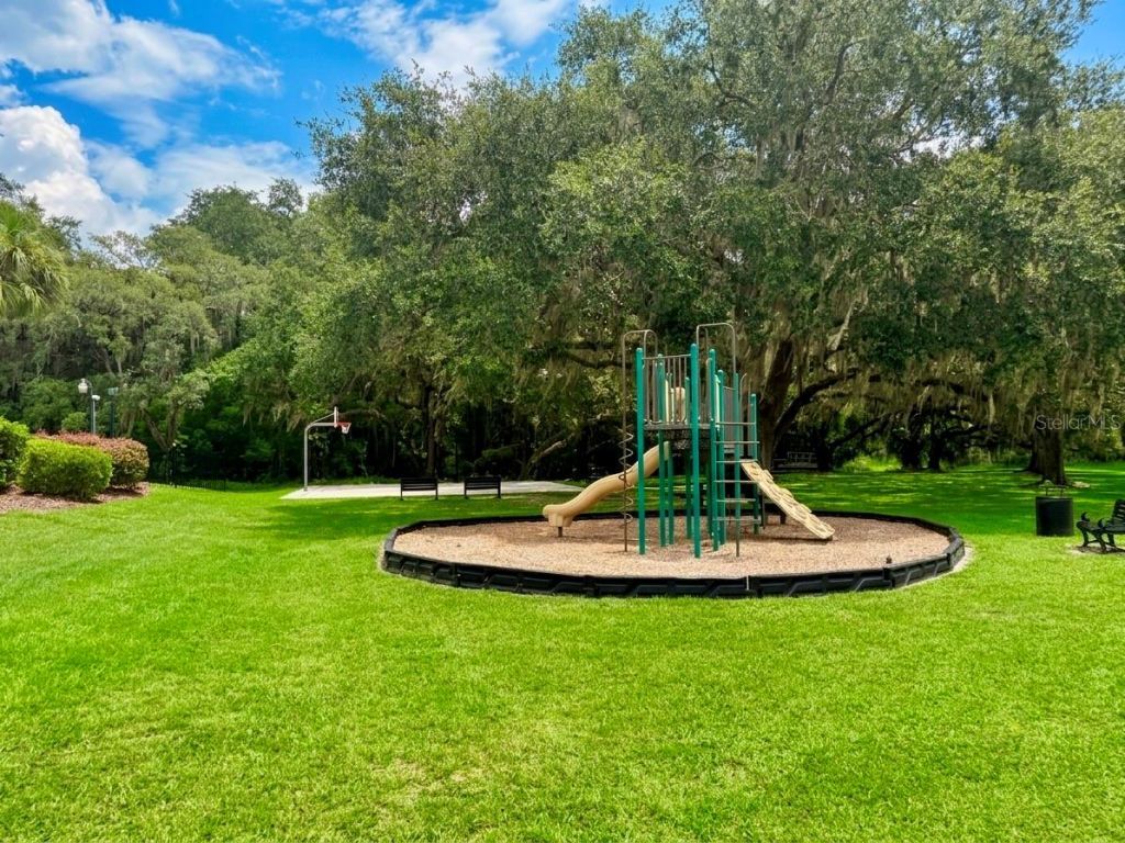 3133 Riachuelo Lane, Kissimmee, FL 34744 Photo