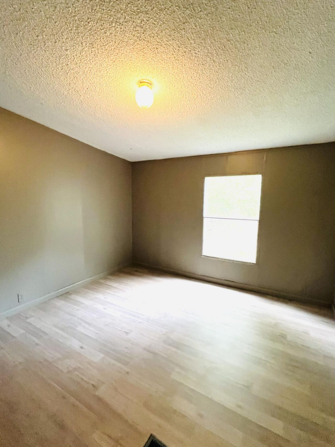 734 Henry Street Photo 10
