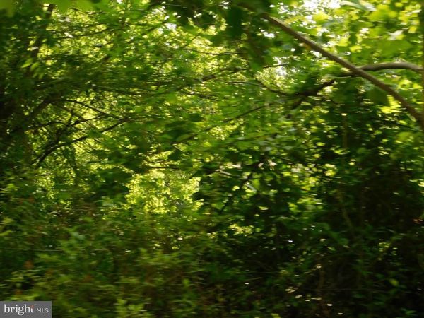 PINEWOOD ROAD , Unit LOT #9, EARLEVILLE, MD 21919