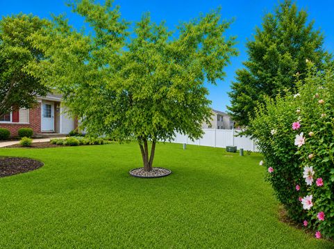 Main Photo