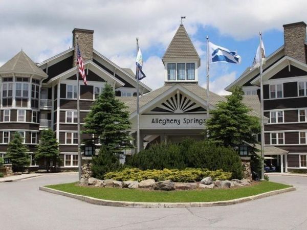 # 238 Allegheny Springs Lodge, Snowshoe, WV 26209