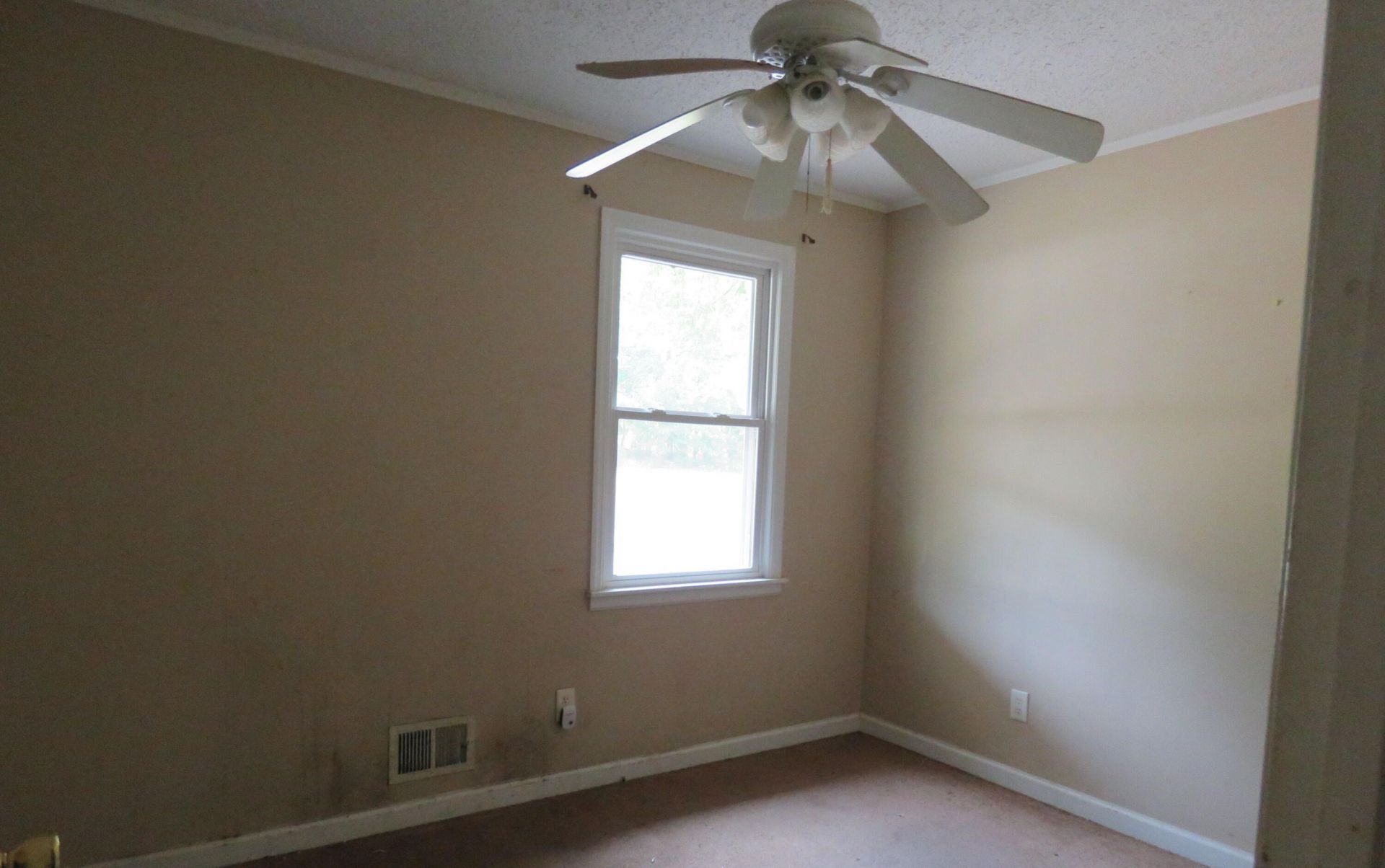 173 Bird Dog Road Photo 11