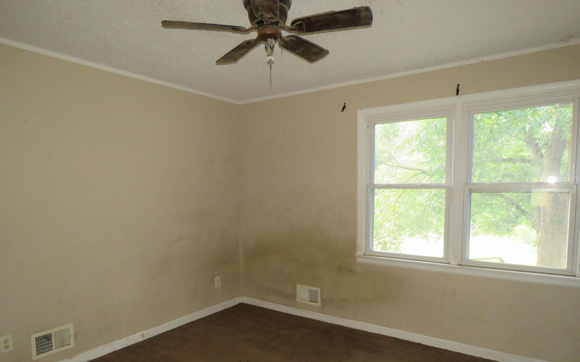 173 Bird Dog Road Photo 12